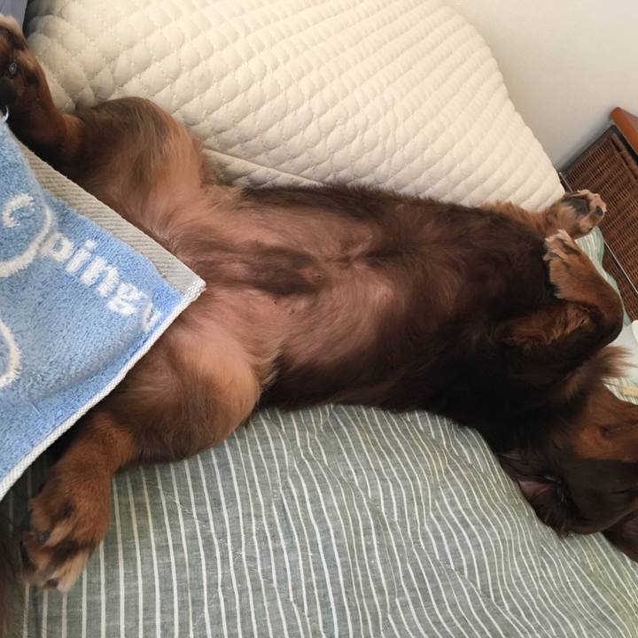 8beee845 2858 40e2 8869 3f7390c3cac3