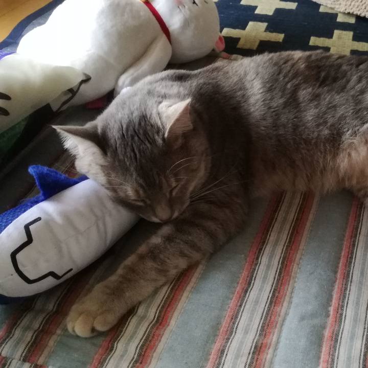 8bef0b7f dc2c 4f43 b6c1 a92642301df7