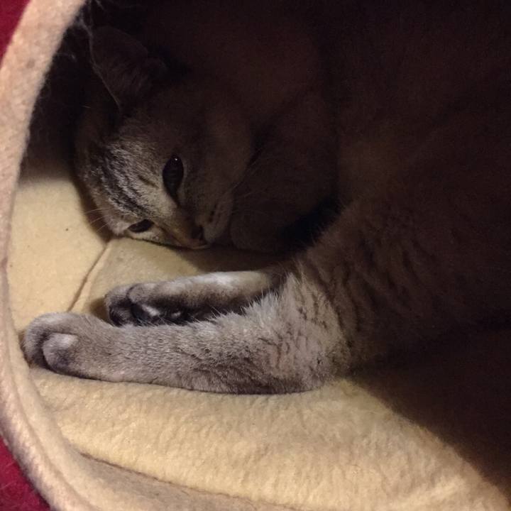 8bef1056 5789 41e9 bc3a e71bf130bdbc