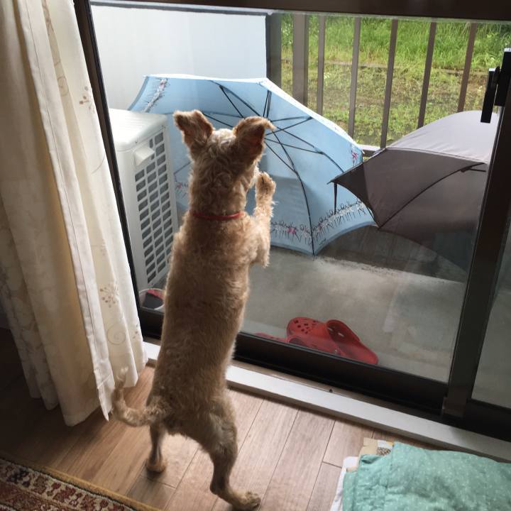 8bef1689 4097 463d 804d 4a07f8813540