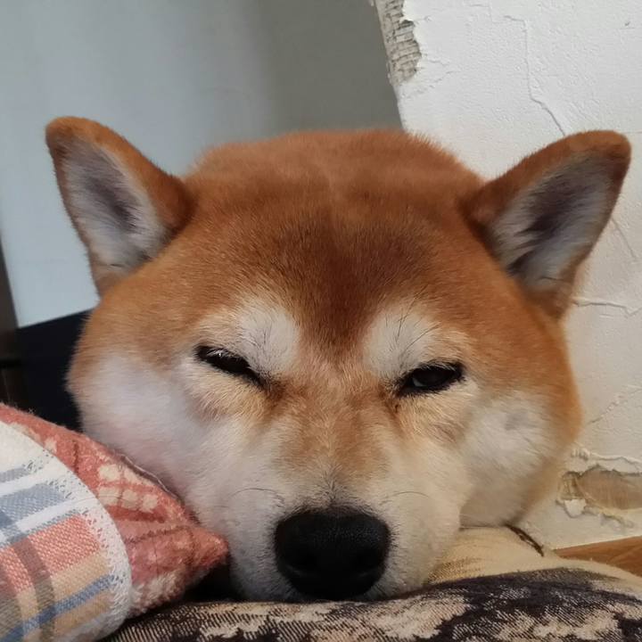 8bef2d60 ac77 402e 935c 4cdbad8c139b