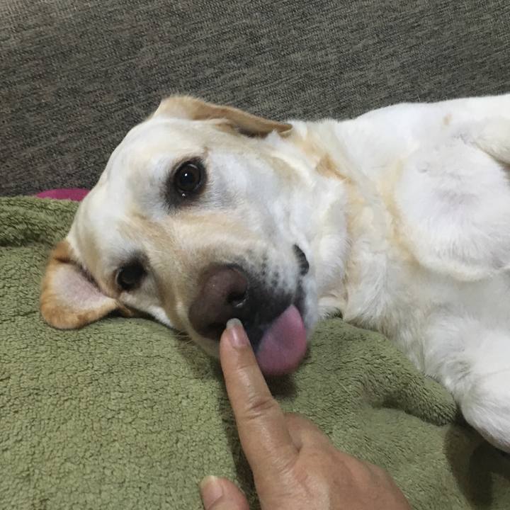 8bef682c 7374 46df 85fc c7eb4df275af