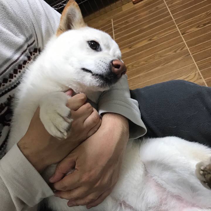 8bf053d0 3f0c 456a 8ec0 00bba07a38c9