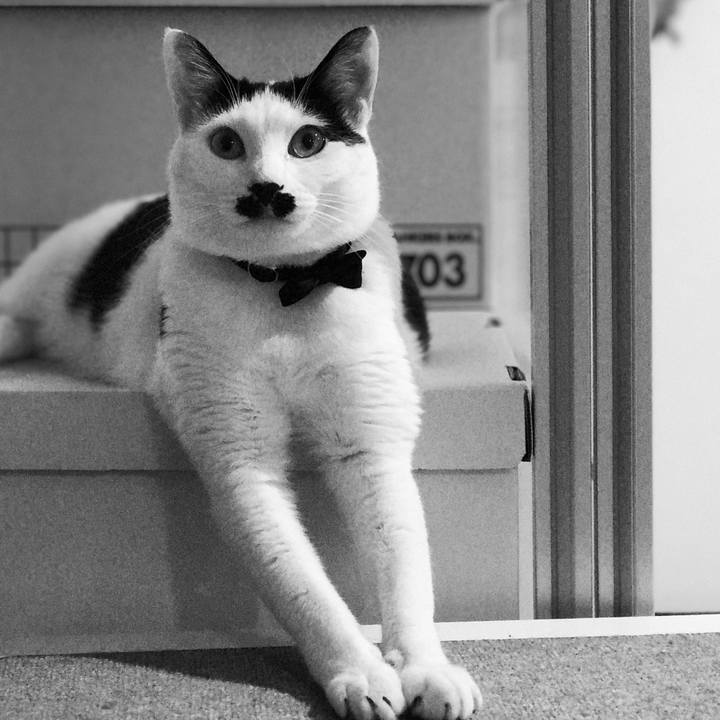 8bf0c7e1 05ce 4ec1 ba23 da660d17ae9d