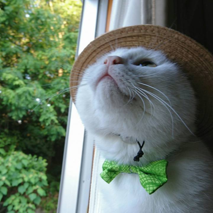 8bf0eff4 e716 44ff 86af f4c1a66f2736