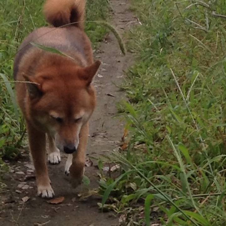 8bf1a965 c832 4247 9b92 3d41468c81ea