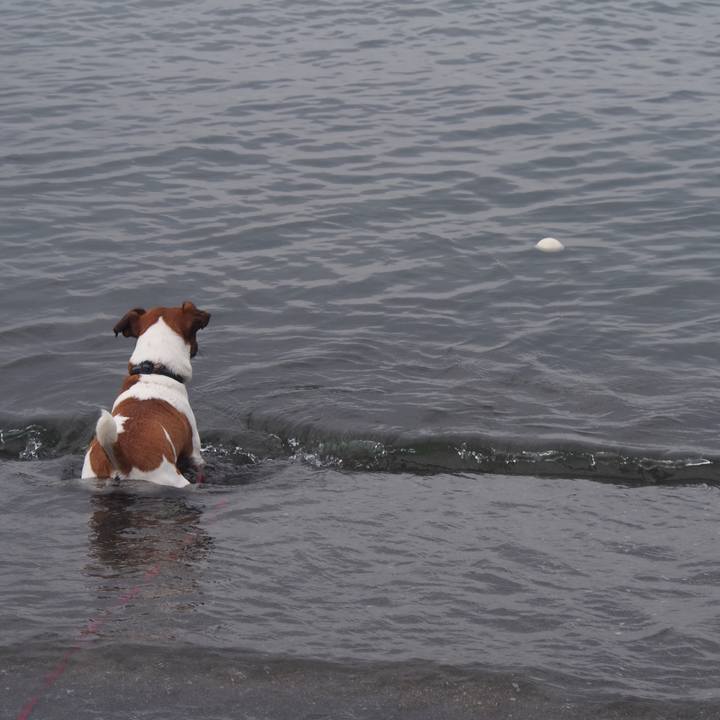 8bf1c1d8 28d5 4c73 a557 2e153eb4b002