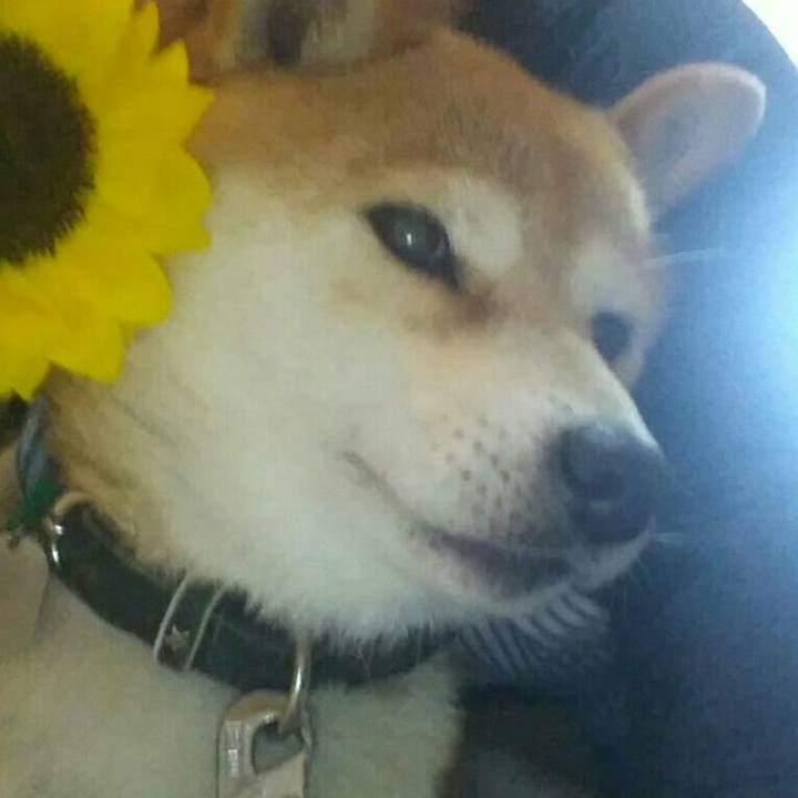 8bf28aa5 303f 4a90 885b 6d69d5319ebb