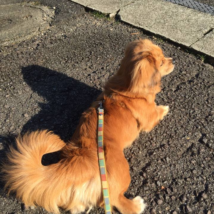 8bf29fae 9015 4129 97f0 1bb6292902ab