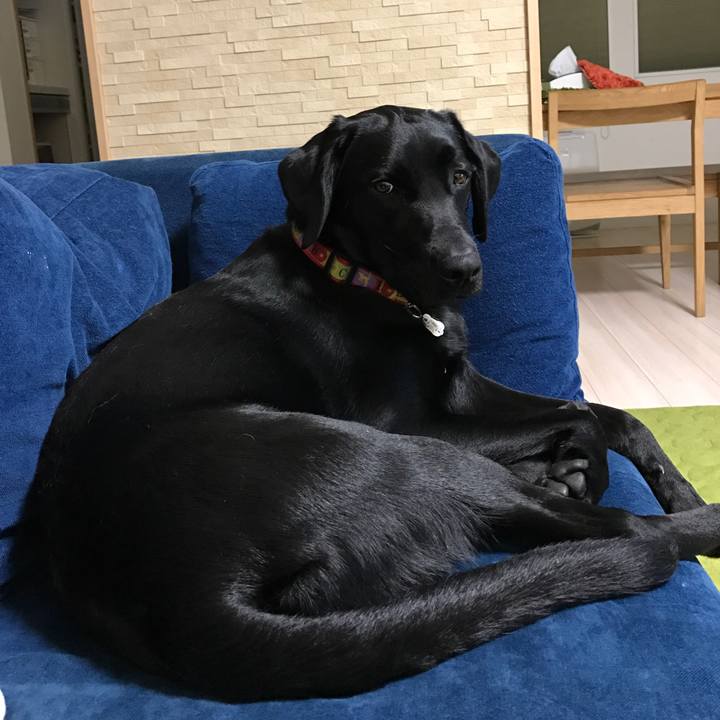 8bf2b946 78b5 4ad8 a0f9 794d95f236ae