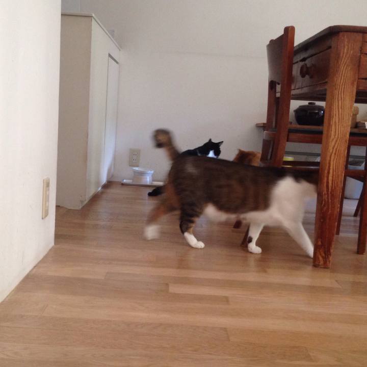 8bf3a143 7fe3 4434 b96d 09a8f172e812