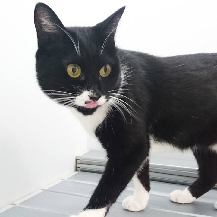 8bf47457 019c 4a6e aca3 b23259fc5bce