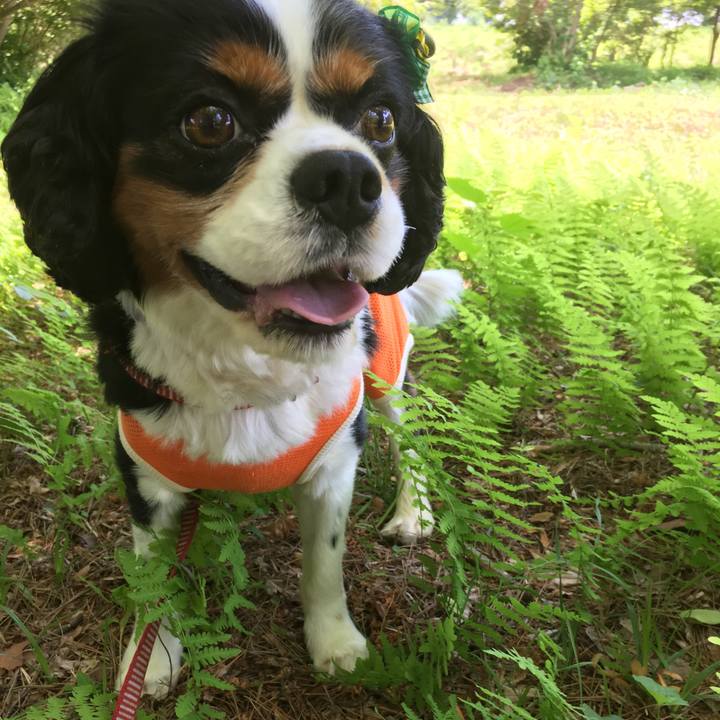 8bf5af1a a990 41b9 9863 3dcda57835cf