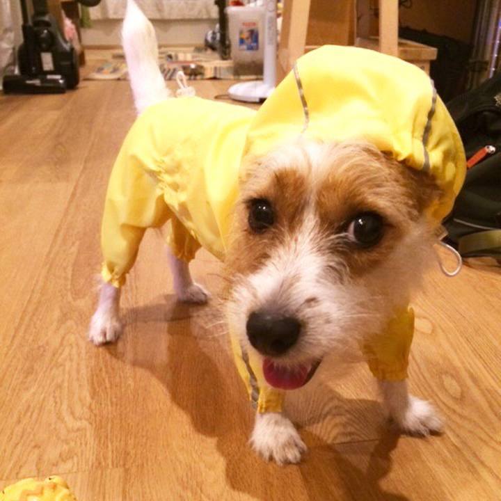 8bf5c19e 8d0e 4fab bfe2 96e43c499906