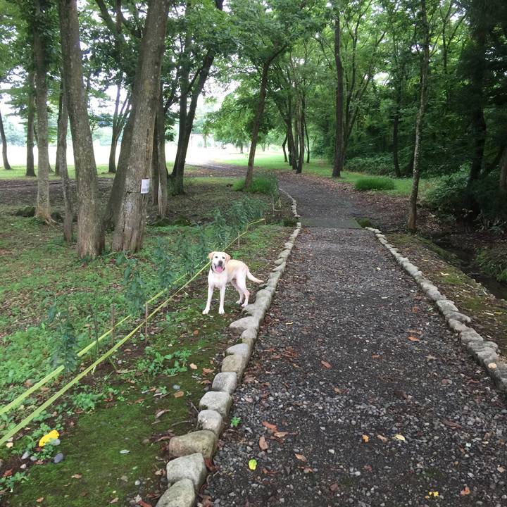 8bf6b00b e9db 413d 8fb7 835c897b368a