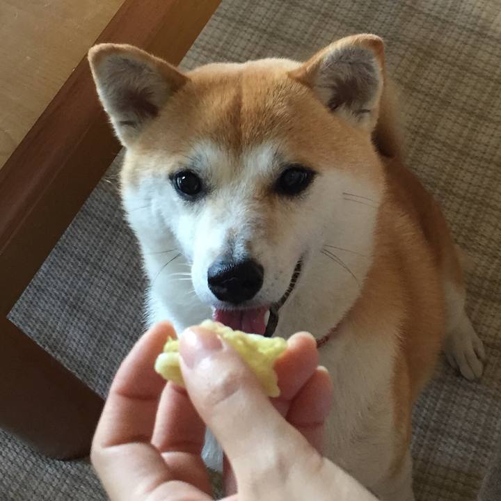 8bf6b20f 5e04 45ff a966 74a13ea506d8