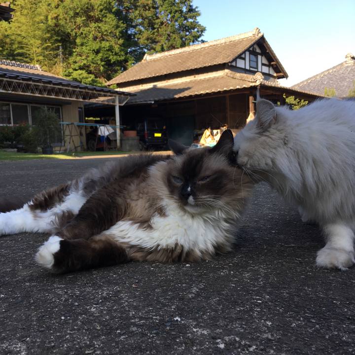 8bf732b2 f2cd 425a 9367 752431625a8e