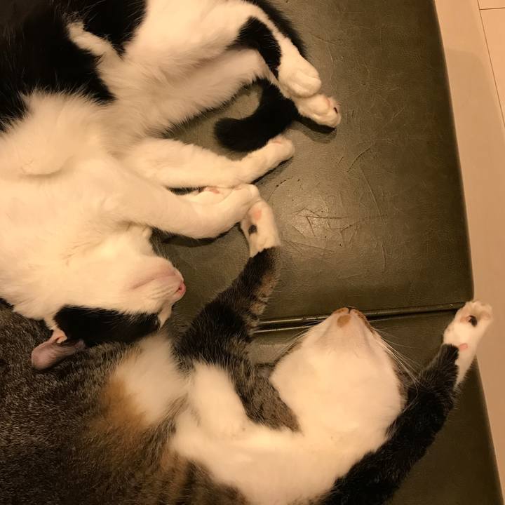 8bf78f24 3831 4e1c 97cb eeb527f9a93c