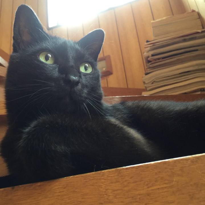 8bf7d045 5a8e 49cf 8429 1cf3d2c7bb0e