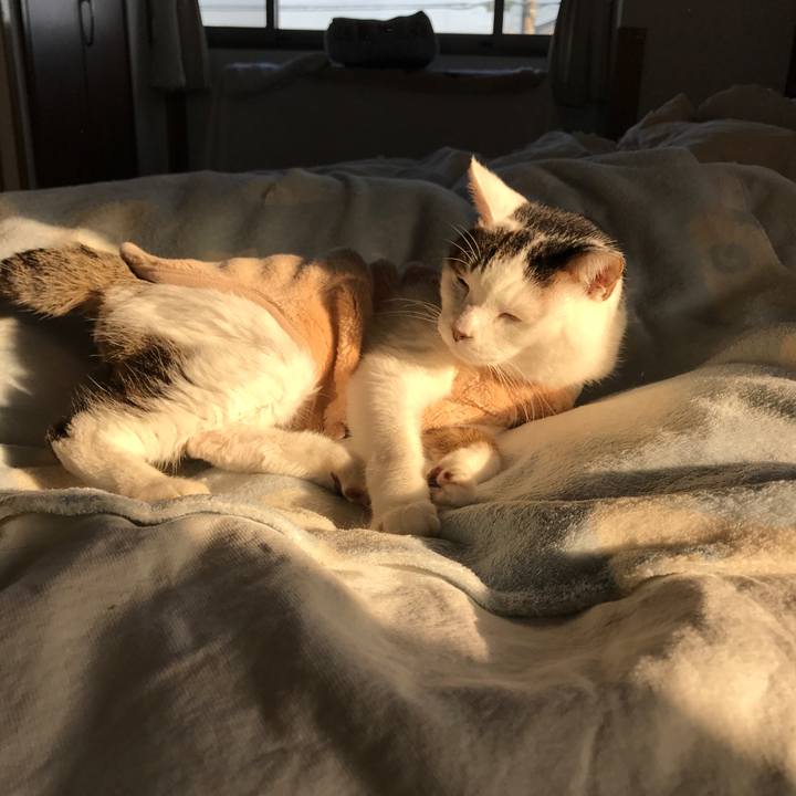 8bf813df d6ff 4825 b1ba c0f9f93dd237