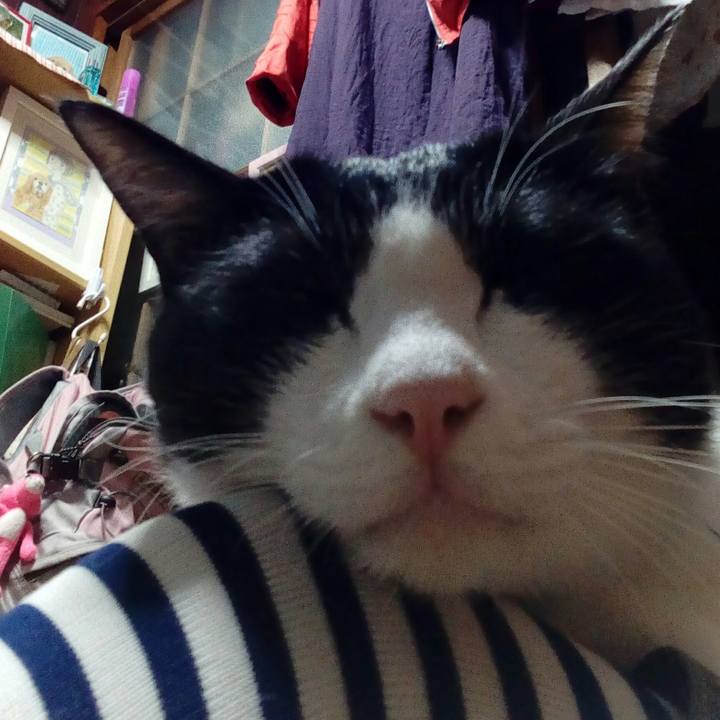 8bf87e2e ace5 403f 9cde cbab51f0cf6f