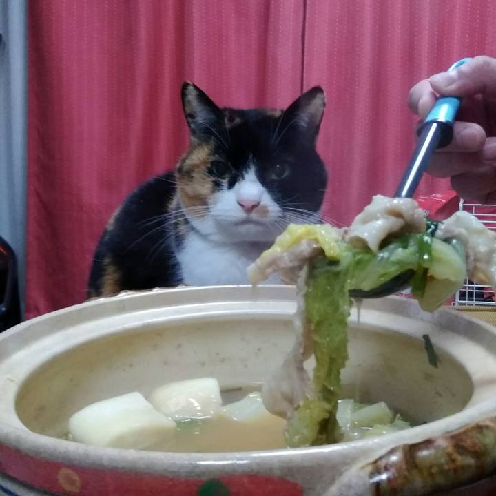 8bf8afa3 ee58 4f1c a0cb d61a764d065c