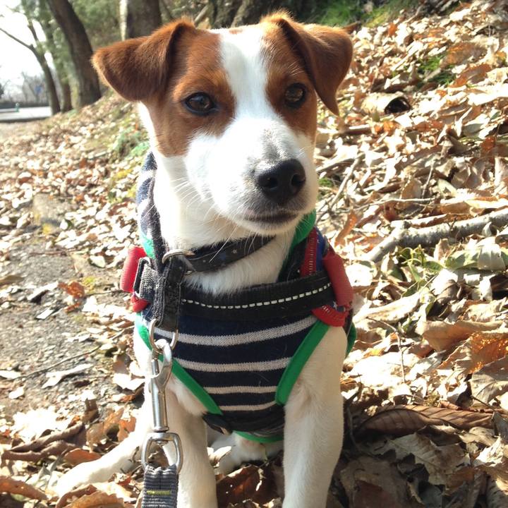 8bf8b444 0036 4693 a14c b980dcb2a5a5