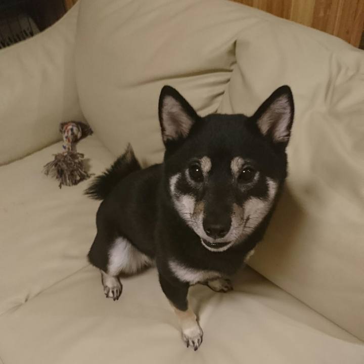 8bf90acc d5bc 4206 ba1f 13ab6154443c