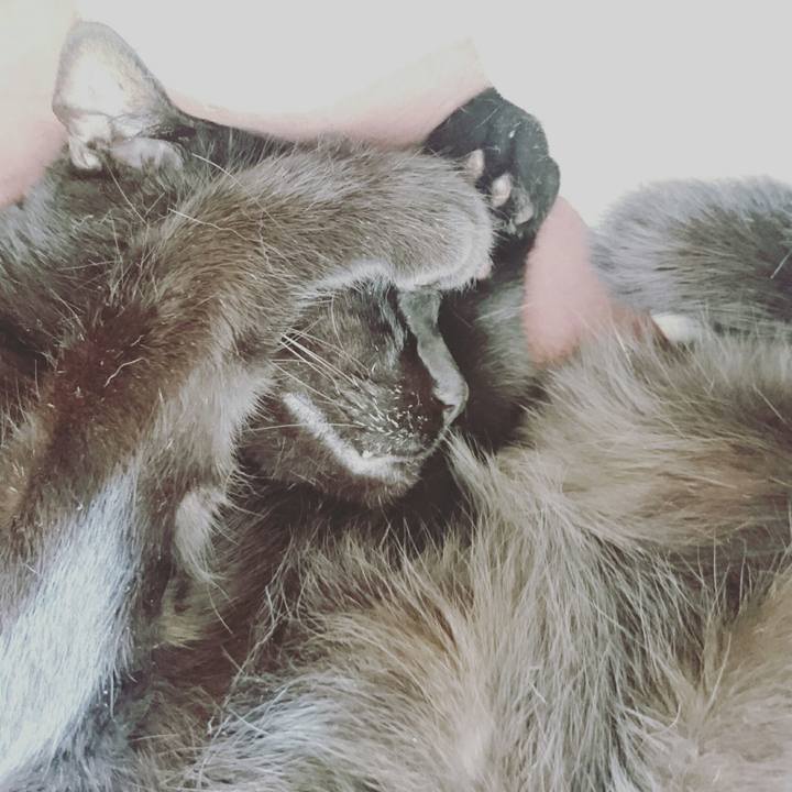 8bf960fc 0ffc 4d3f 87a9 b792e999f5a5