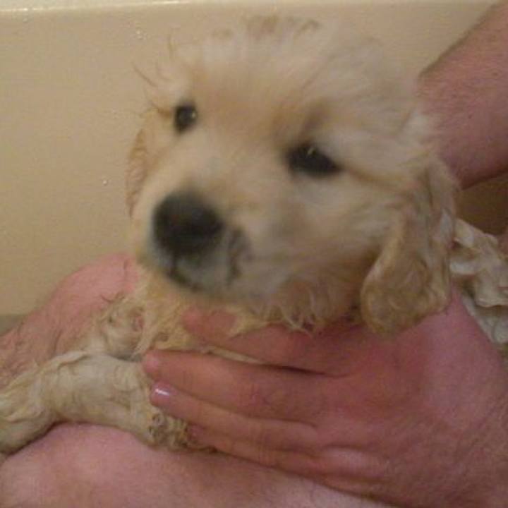 8bf99f1e 8e5e 4207 9ab9 723986f312e9