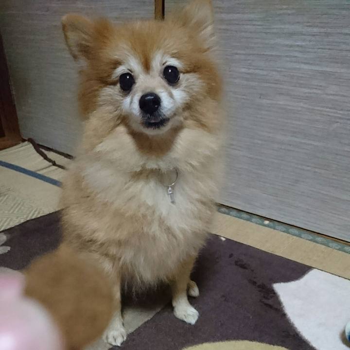 8bf9d738 0efa 43d8 b0de a8e5c7070f38