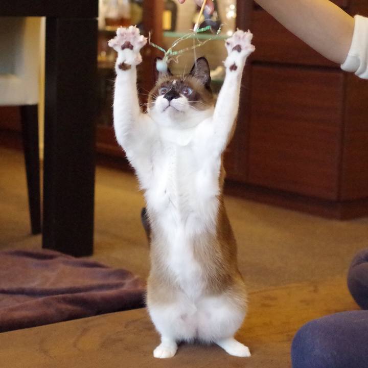 8bf9efc6 d304 43a6 acd2 10c0a893367a