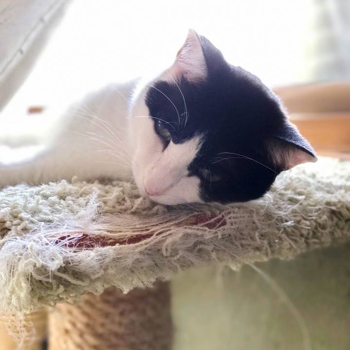 8bfc497a 4a94 4d65 aee6 5f07f6942044