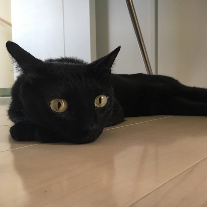 8bfcb06e 25fa 47a0 88ea ce78c55953d4