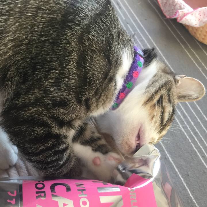 8bfcb33e 3dd9 44d4 bbf3 e650a0ad6f0f