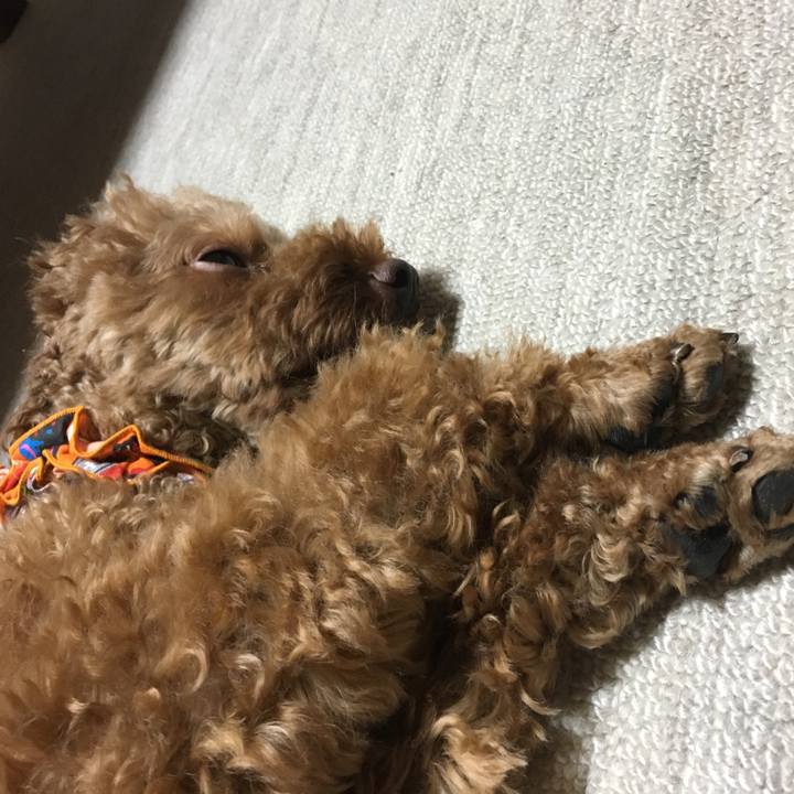 8bfcfae1 4682 45e4 b491 f9a637bcb929