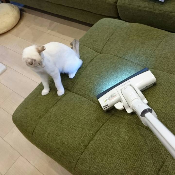 8bff1514 7c3a 4cc3 bf3d 346be47e2218