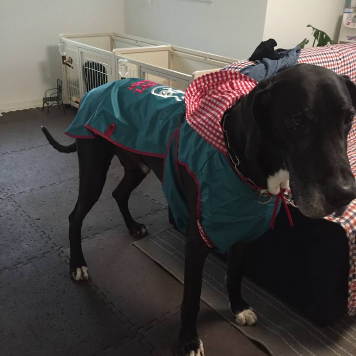 8bff846a 29e5 463b 9df9 dd3376c60afb