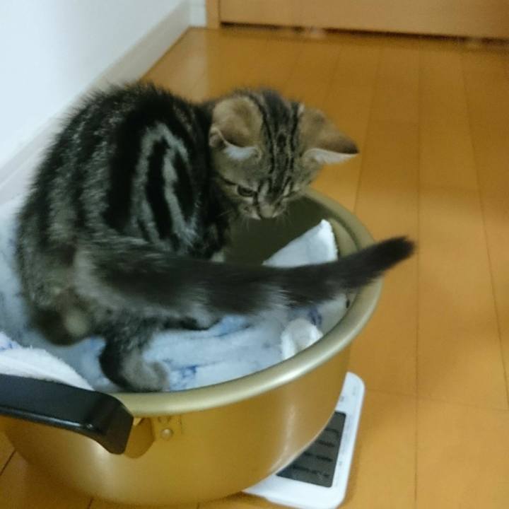 8bff95a3 6abc 42fa 9233 a60fe2430e0b