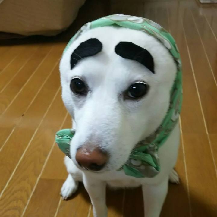 8c001515 9304 49b8 a7f1 fcde44779659