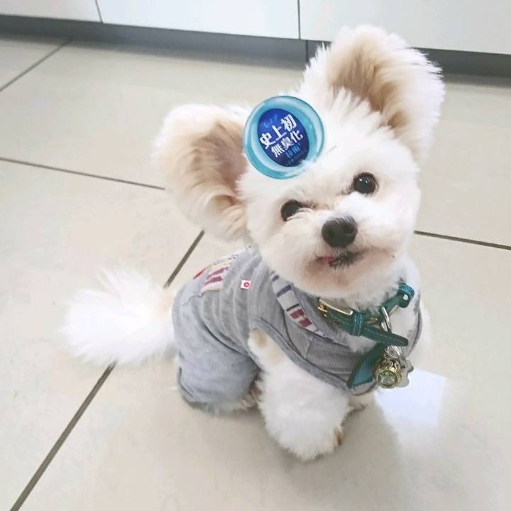 8c002872 a50a 4066 9d17 582e61676a46