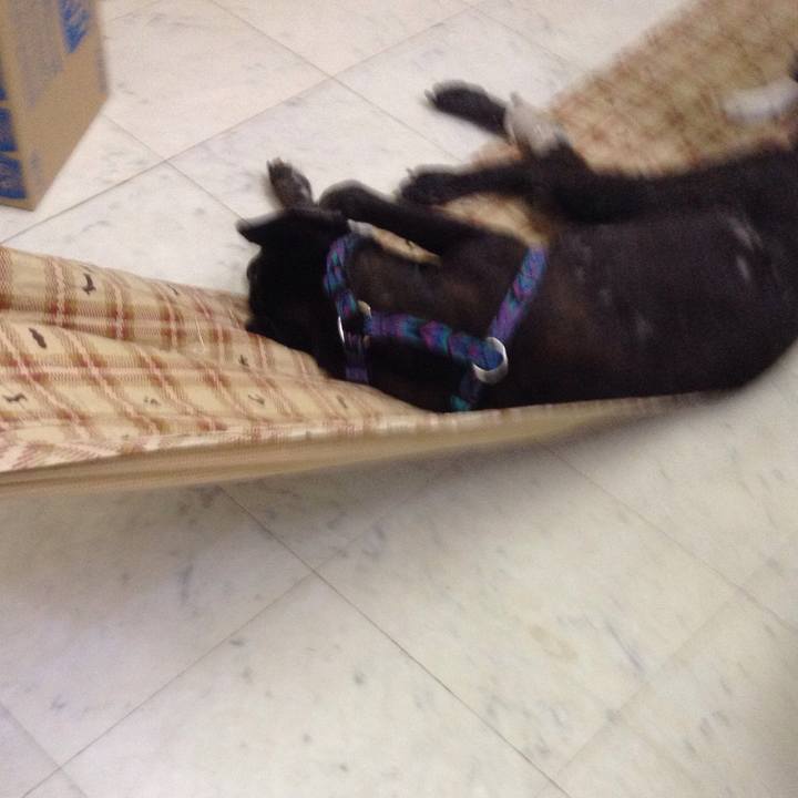 8c004c96 a833 4940 9619 c280706e167d