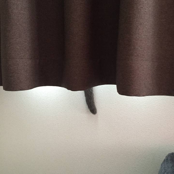 8c00867d 5d34 4382 b7c9 a3eb9951d9cf