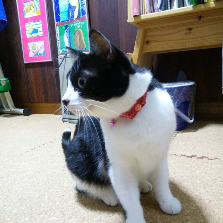 8c0103aa 4c74 459a 975d ba68d48490e7