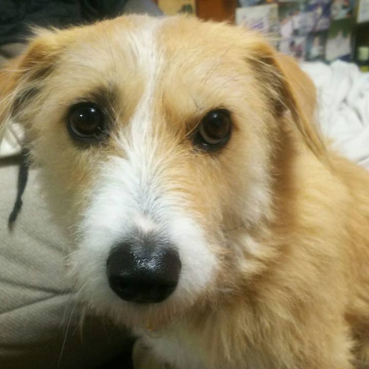 8c0114ac b71b 4536 8a80 23211929ae5c