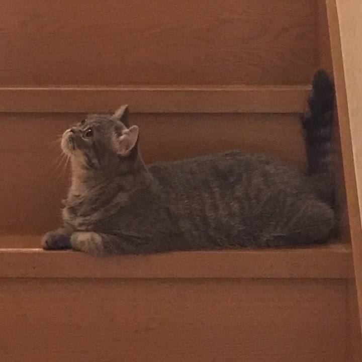 8c02306d 59c2 4698 b2ed c50c66561b3b