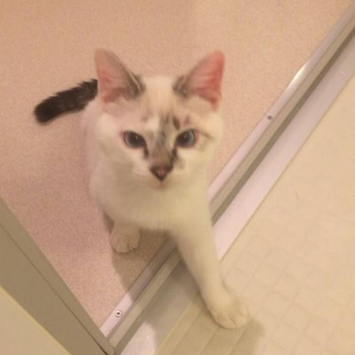 8c02a819 a81c 4b99 b314 b80478a59417