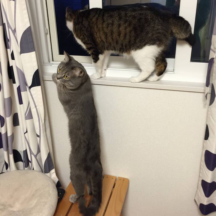 8c03d802 c7a5 4a20 ba0d 292007a7be1b