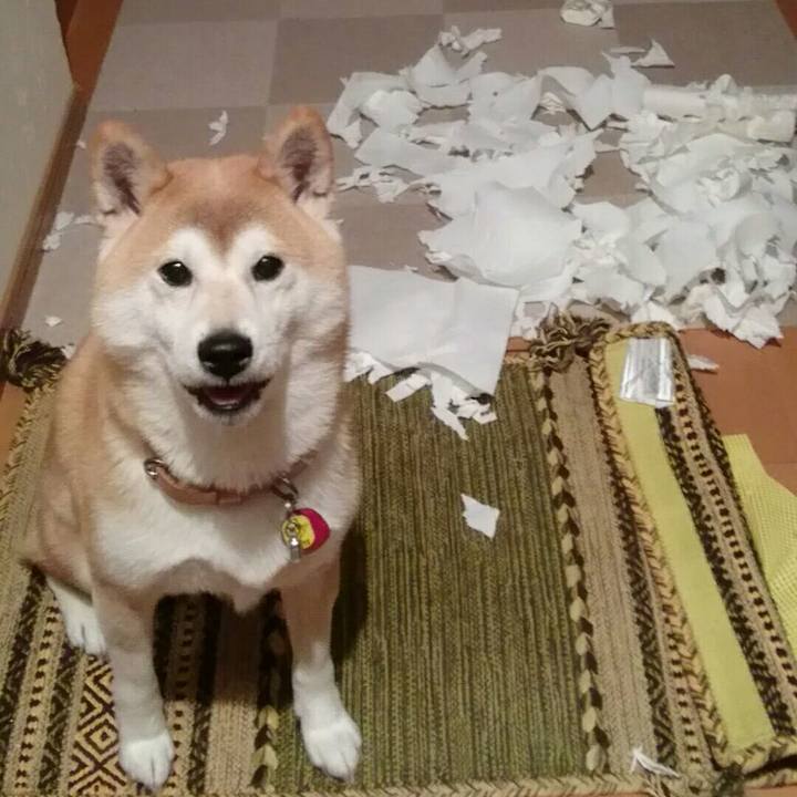 8c03e7ba ad41 4eb9 a2ea 97843b265fdd