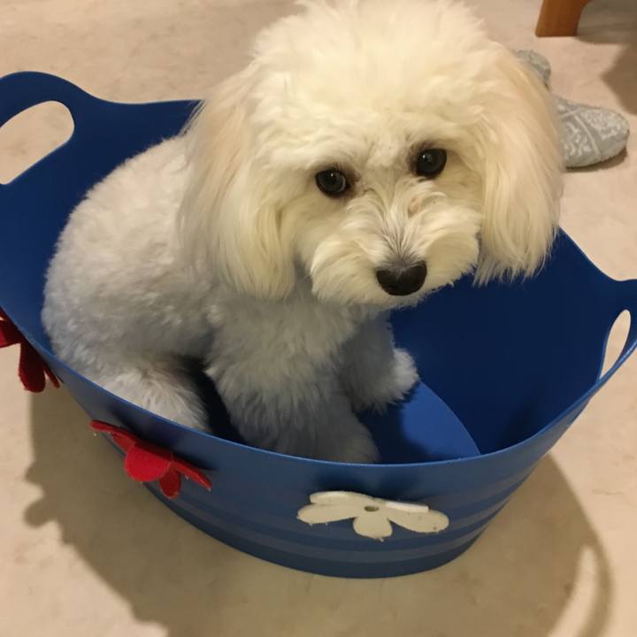 8c0425ba ef64 4796 a1ad e0e7d9534ccb